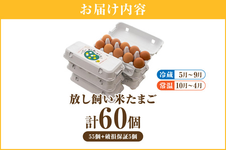 放し飼い米たまご55個+5個保証（計60個）農家直送 新鮮 卵 タマゴ 赤卵 玉子 鶏卵 朝食 夕食 夜食 朝ごはん たまご焼き オムレツ 卵ご飯 料理 濃厚 飼料にこだわった 卵かけご飯 米たまご 生卵 大容量 お取り寄せ 愛知県 常滑市