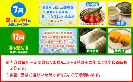 【計2回定期便】ふるさと小包詰め合わせ 年2回 7月・12月便