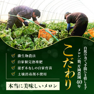 来年2026年先行予約！糖度抜群！奇跡のクインシーメロン（赤肉）2玉入り
