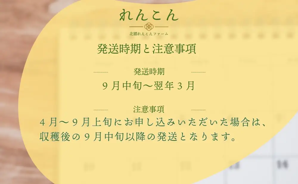 れんこん 無選別 3kg ｜レビュー☆4.54・テレビ紹介 千葉県神崎町の蓮根  ※4～9月上旬受付分は9月中旬以降順次発送【ふるさと納税 人気 野菜 蓮根 レンコン きんぴら 訳あり 無選別 3kg 千葉県 神崎町】[013-a007]　