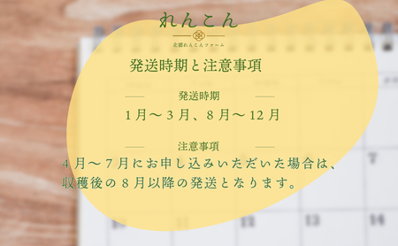 千葉県れんこん部門注文数最上位達成！【訳あり】無選別　神崎町ふるさと れんこん（4kg）（※4～7月受付分は8月以降順次発送）[013-a002]