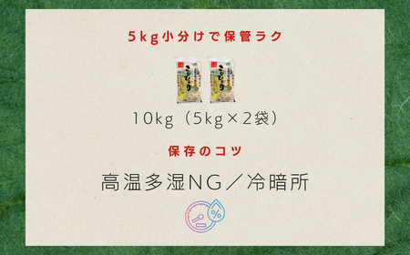 JAかとり直送 コシヒカリ 精米10kg（5kg×2）千葉県産 令和7年産 神崎町 [001-a004]