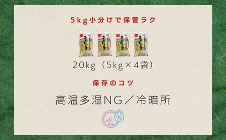 JAかとり直送コシヒカリ 精米20kg（5kg×4）千葉県産 令和7年産 神崎町 [001-a005]