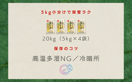 JAかとり直送 ふさおとめ 精米20kg（5kg×4） 千葉県神崎町産 令和7年産 [001-a007]