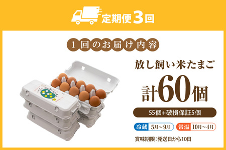 【3か月定期便】放し飼い米たまご55個+5個保証（計60個）農家直送 新鮮 卵 タマゴ 赤卵 玉子 鶏卵 朝食 夕食 夜食 朝ごはん たまご焼き オムレツ 卵ご飯 料理 濃厚 飼料にこだわった 卵かけご飯 米たまご 生卵 大容量 お取り寄せ 愛知県 常滑市
