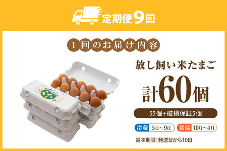 【9か月定期便】放し飼い米たまご55個+5個保証（計60個）農家直送 新鮮 卵 タマゴ 赤卵 玉子 鶏卵 朝食 夕食 夜食 朝ごはん たまご焼き オムレツ 卵ご飯 料理 濃厚 飼料にこだわった 卵かけご飯 米たまご 生卵 大容量 お取り寄せ 愛知県 常滑市