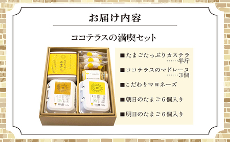 ココテラスの満喫セット ココテラス デイリーファーム セット カステラ マドレーヌ マヨネーズ たまご 卵 朝日 明日 スイーツ お菓子 プレゼント 贈り物 ギフト ギフトセット お取り寄せ 愛知県 常滑市