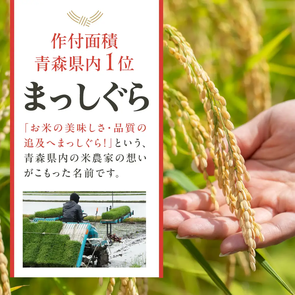 【2026年6月後半発送】まっしぐら5kg（白米）