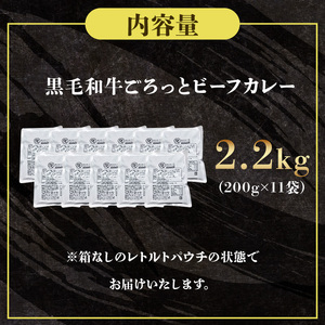 【 カレー 】黒毛和牛 ビーフカレー 200g×11袋