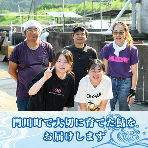 冷凍子持鮎(約1kg・10～14匹) 鮎 冷凍 子持ち鮎 小分け 国産 門川町産 宮崎県産 塩焼き あゆ 川魚 養殖 香魚 【ME-03】【米良水産】