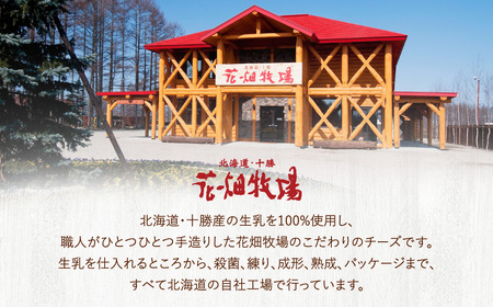 花畑牧場 フレッシュチーズ2種セット（メダルモッツァレラ 約500g＋モッツァレラひとくちタイプ 約500g）【A91】モッツァレラチーズ 北海道産