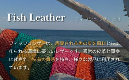 【Ocean Blue】Ocean Leather BOXコインケース【ブリ】【興洋フリーズ株式会社】 [ATBX069-03]
