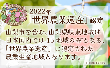【発送月固定定期便】2026年発送 山梨フルーツ旬の果物 桃+シャインマスカット 全2回_甘いシャインマスカット あまいシャインマスカット 美味しいシャインマスカット おいしいシャインマスカット 人気のシャインマスカット 瑞々しいシャインマスカット _【配送不可地域：離島・沖縄県】【4057484】