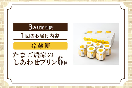 【定期便3ヶ月】たまご農家のしあわせプリン 6個セット デイリーファーム たまご 幸せ プリン 瓶入り デザート スイーツ おやつ 卵 鶏卵 ココテラス なめらかプリン 洋菓子 米卵 常滑牛乳 お菓子 ギフト プレゼント グルメ お取り寄せ 愛知県 常滑市 定期便