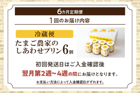 【定期便6ヶ月】たまご農家のしあわせプリン 6個セット デイリーファーム たまご 幸せ プリン 瓶入り デザート スイーツ おやつ 卵 鶏卵 ココテラス なめらかプリン 洋菓子 米卵 常滑牛乳 お菓子 ギフト プレゼント グルメ お取り寄せ 愛知県 常滑市 定期便