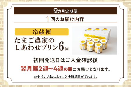 【定期便9ヶ月】たまご農家のしあわせプリン 6個セット デイリーファーム たまご 幸せ プリン 瓶入り デザート スイーツ おやつ 卵 鶏卵 ココテラス なめらかプリン 洋菓子 米卵 常滑牛乳 お菓子 ギフト プレゼント グルメ お取り寄せ 愛知県 常滑市 定期便