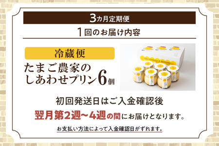 【定期便12ヶ月】たまご農家のしあわせプリン 6個セット デイリーファーム たまご 幸せ プリン 瓶入り デザート スイーツ おやつ 卵 鶏卵 ココテラス なめらかプリン 洋菓子 米卵 常滑牛乳 お菓子 ギフト プレゼント グルメ お取り寄せ 愛知県 常滑市 定期便