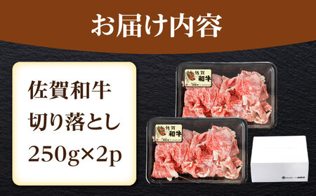 牛肉切り落とし 計500g NAC030 牛肉