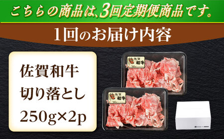 【定期便】牛肉切り落とし 計500g NAC162 牛肉 全3回