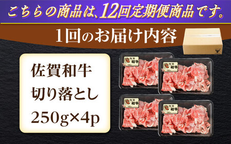【定期便】牛肉切り落とし 計1kg NAC167 牛肉 全12回