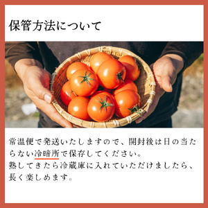 【ふるさと納税】〈2026年12月下旬～順次発送〉訳あり 5回 定期便 フルーツトマト 原田農園＜1.6kg 箱入＞【先行予約受付中】桃太郎 【常温】送料無料 家庭用 ワケあり 変形 キズあり 高知県