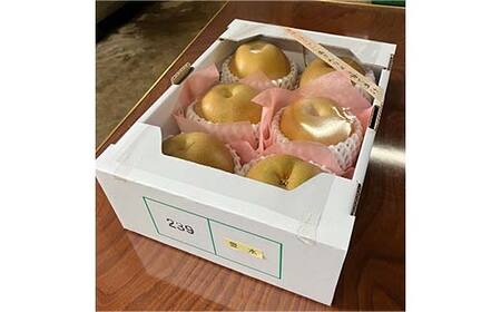 《2026年先行予約》山形県産 和梨 6玉 ※品種おまかせ 秀品 約1.8kg～2kg 梨 洋梨 フルーツ 果物 くだもの 山形県 中山町 F4A-0465
