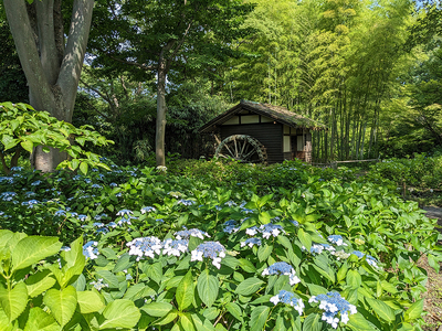 府中市郷土の森博物館・プラネタリウム観覧券（入館券付き）１０枚セット（大人用）