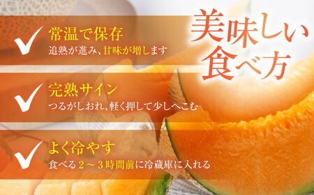 【ふるなびWEEK対象】先行予約 赤肉メロン 1玉（約2kg/玉）【AJAK023】FN-Limited-PR