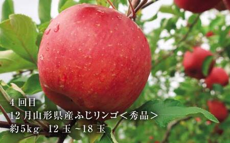 2026年8月発送開始 山形県 至高のフルーツ！山形県秀逸フルーツ定期便 全4回 F4A-0454