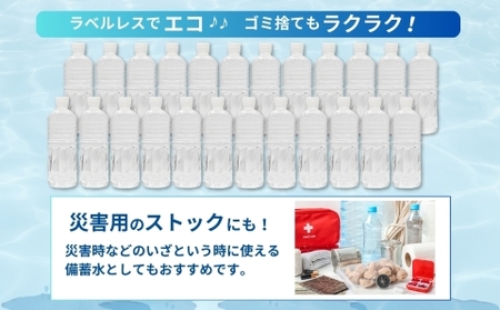 【ミネラルたっぷり】ラベルのない細野の天然水 555ml×24本 1箱（ ミネラルウォーター 天然水 中硬水 シリカ )