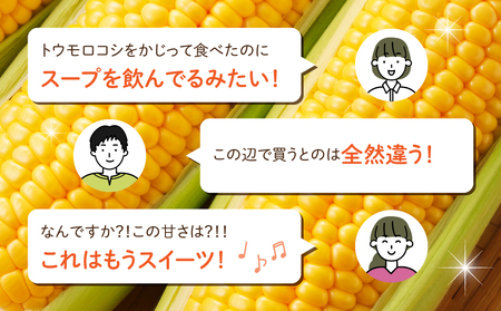 【先行受付2026年発送】生でもすごく甘い！生きた土壌で育った『とうもろこし』2Lサイズ8本｜里山JAPAN ※2026年7月中旬以降発送予定