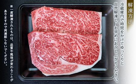 【プロも高評価！】【くびき和牛】 サーロインステーキ 250g×2枚 計500g にいがた和牛 牛肉 ブランド牛 新潟県産 上越市 深雪の郷・くびき牛