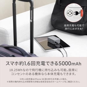 Owltech(オウルテック) 最大PD20W対応 5000mAh USB Type-C出力 ACモバイルバッテリー OWL-LPBAC5001-GY グレー