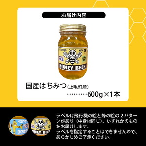 国産はちみつ（上毛町産）600g×1本 _T07606