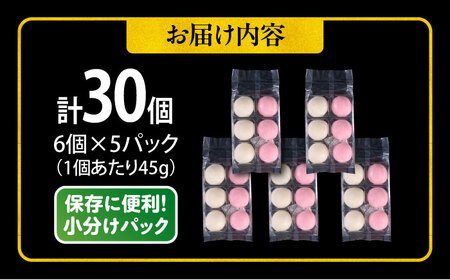 【先行予約】【訳あり】丸餅 6個入り×5パック 30個入り 大容量 もち 餅 【有限会社さかくら総本家】 [AKEI005]