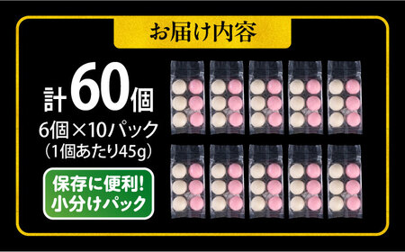 【先行予約】【訳あり】丸餅 6個入り×10パック 60個入り 大容量 もち 餅 【有限会社さかくら総本家】 [AKEI006]