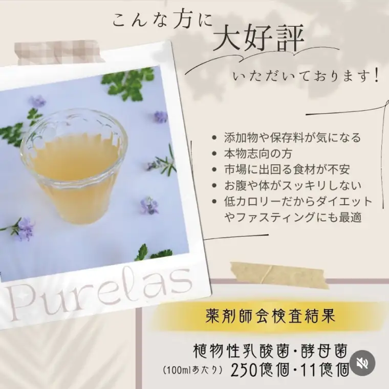 自然の恵みを封じこめた完全非加熱発酵エキス『ピュアラス酵素』500ml/１本（EH-8）