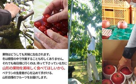 りんご サンふじ ＆ 洋なし ラ・フランス セット 3kg 秀品 ギフト箱入り 山形県産 【令和8年度 先行予約】 FSY-1390