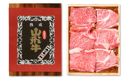 肉の中村特製 山形県産 牛肉 豚肉 3種食べ比べセットA 500g(山形牛リブロース特製赤味噌漬け 300g 山形豚の角煮 100g 山形豚チャーシュー100g) 保存料・着色料不使用 冷凍  家庭用 国産 牛肉 山形牛 豚肉 味噌 ポーク 焼くだけ 詰め合わせ 惣菜 詰合せ キャンプ飯 BBQ 山形県 山形市 FZ24-489