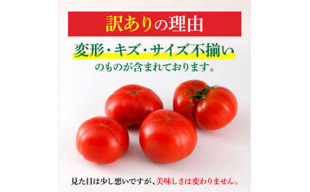 フルーツトマト 訳あり 3kg 大小混合 3キロ トマト とまと ふるーつとまと 高知 桃太郎 完熟 糖度8度以上 濃厚 野菜 料理 サラダ マリネ おいしい 新鮮 訳アリ【池トマト】 [BQAG054]