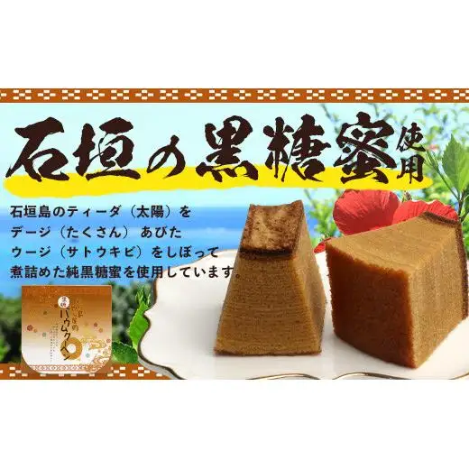 石垣島 やし屋手作り 石垣の塩バウムクーヘン×1箱 ＆ 黒糖バウムクーヘン×1箱（合計2箱）　YA-3