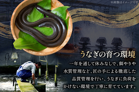 うなぎ ハーブ うなぎ蒲焼 計 1kg 以上 6～8尾 タレ 山椒 付き [鰻楽 宮崎県 日向市 452061198]