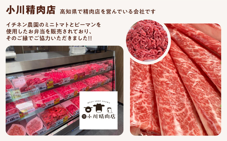 レトルトキーマカレー 3食セット｜高知県産ミニトマト使用 辛くない やさしい味 常温保存