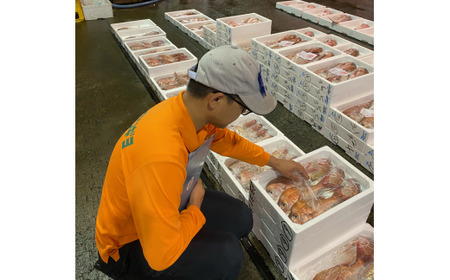 鯛めし 愛媛 みかん鯛めしの素 3合炊き 魚屋さんが作った 自家製 吉井鮮魚 | A62