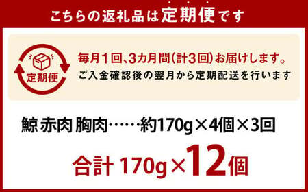 【全3回定期便】 鯨 赤肉 胸肉 170g×4個セット ／ 鯨 くじら クジラ 鯨肉 鯨文化 くじら文化 イワシ鯨 厳選 長崎県 長崎市