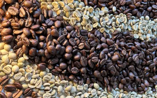 自家焙煎珈琲豆 (粉) 600g (200g×3袋) ／ コーヒー 珈琲 自家焙煎珈琲うつのみ屋 長崎県 長崎市