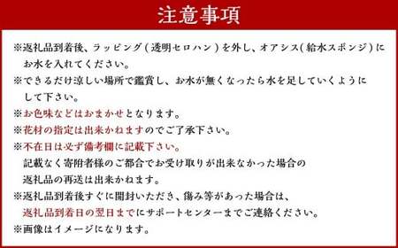 【年4回定期便(1月・4月・7月・10月配送)】御供用 おまかせ フラワーアレンジメント ／ 大輪菊 小菊 お花 花 お供え お盆 法事 四十九日 仏花 仏事 長崎県 長崎市