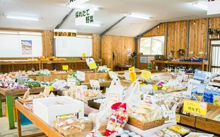 直売所おすすめ！旬野菜セット 5～10品目 ／ やさい 旬 野菜 詰合せ 詰め合わせ 新鮮 産地直送 ふるさと  おまかせ お楽しみ きんかい味彩市 長崎県 長崎市