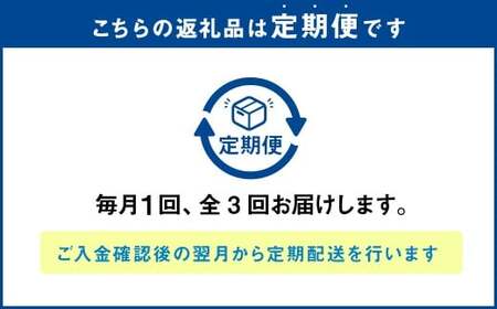 【全3回定期便】長崎ぶたまん 40個(10個入×4パック) ／ ぶたまん 中華まん 肉まん 豚 豚肉 中華 冷蔵 小分け お取り寄せ おやつ グルメ 国産 惣菜 長崎 長崎県産 長崎県 長崎市