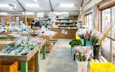 【全3回定期便】 農産物直売所おすすめ！ 旬野菜 セット 5～10品目 ／ やさい 旬 野菜 詰合せ 詰め合わせ 新鮮 産地直送 ふるさと おまかせ お楽しみ きんかい味彩市 長崎県 長崎市